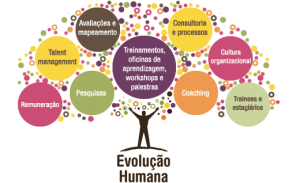 Serviços-da-Evolução-Humana-Consultoria