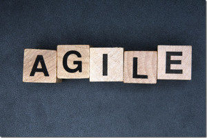 agile-icon-via-thinkstock_thumb